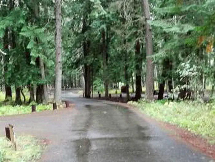 Yaak River Campground (mt) — Yaak River Campground
