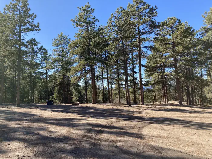 Rampart Range Recreation Area Designated Dispersed Camping — Example of a Designated Dispersed Site (camping area sizes vary)