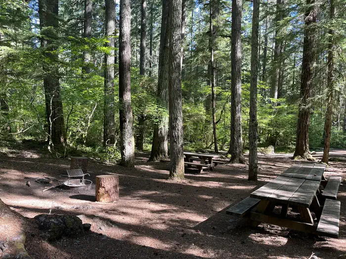 ROARING RIVER (GROUP) — Group area with picnic tables and grill