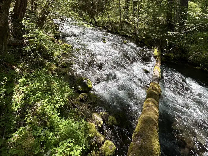 ROARING RIVER (GROUP) — Roaring River