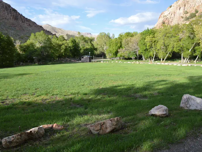 Oak Creek Campground (Oak City, UT) — Oak Creek Grassy Area