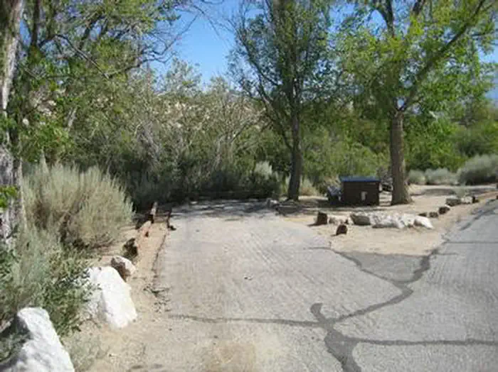 Lone Pine — A paved spur at a campsite