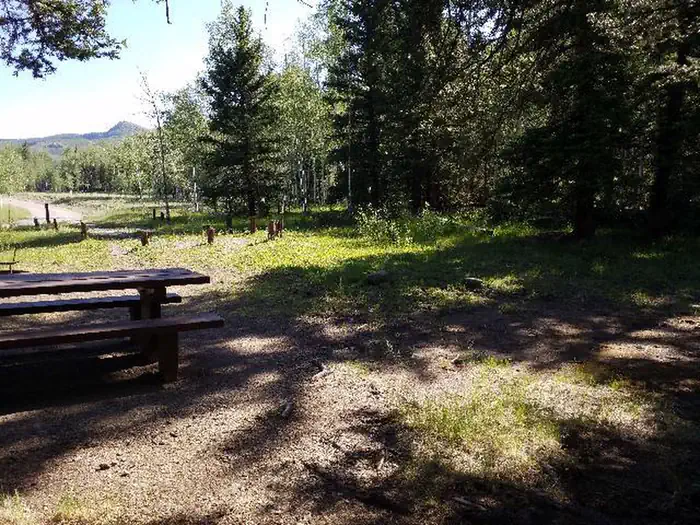 LAKE FORK(RIO GRANDE NATL FORE — campsite