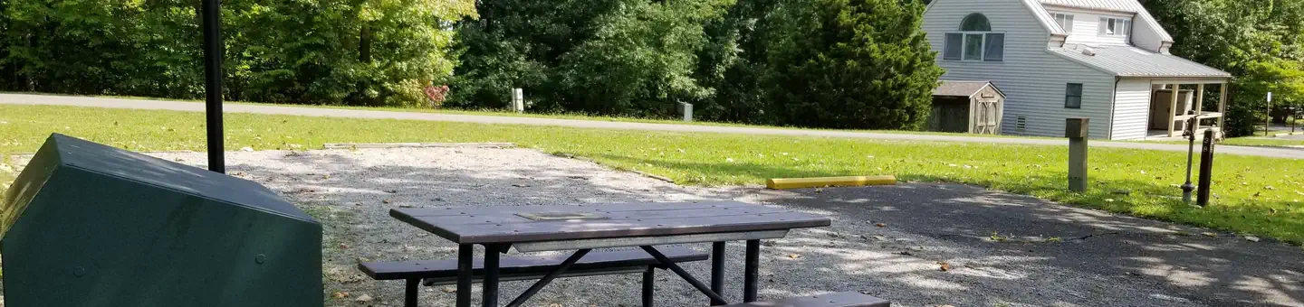 Blue Heron - Big South Fork National River Rec Area