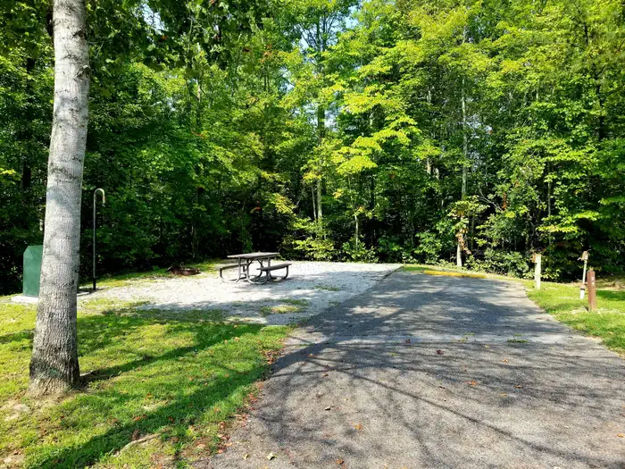 BLUE HERON CAMPGROUND — Picnic table sits on gravel tent pad under the shade of a nearby tree.