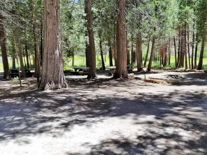 Long Meadow Group Campground — Long Meadow Group