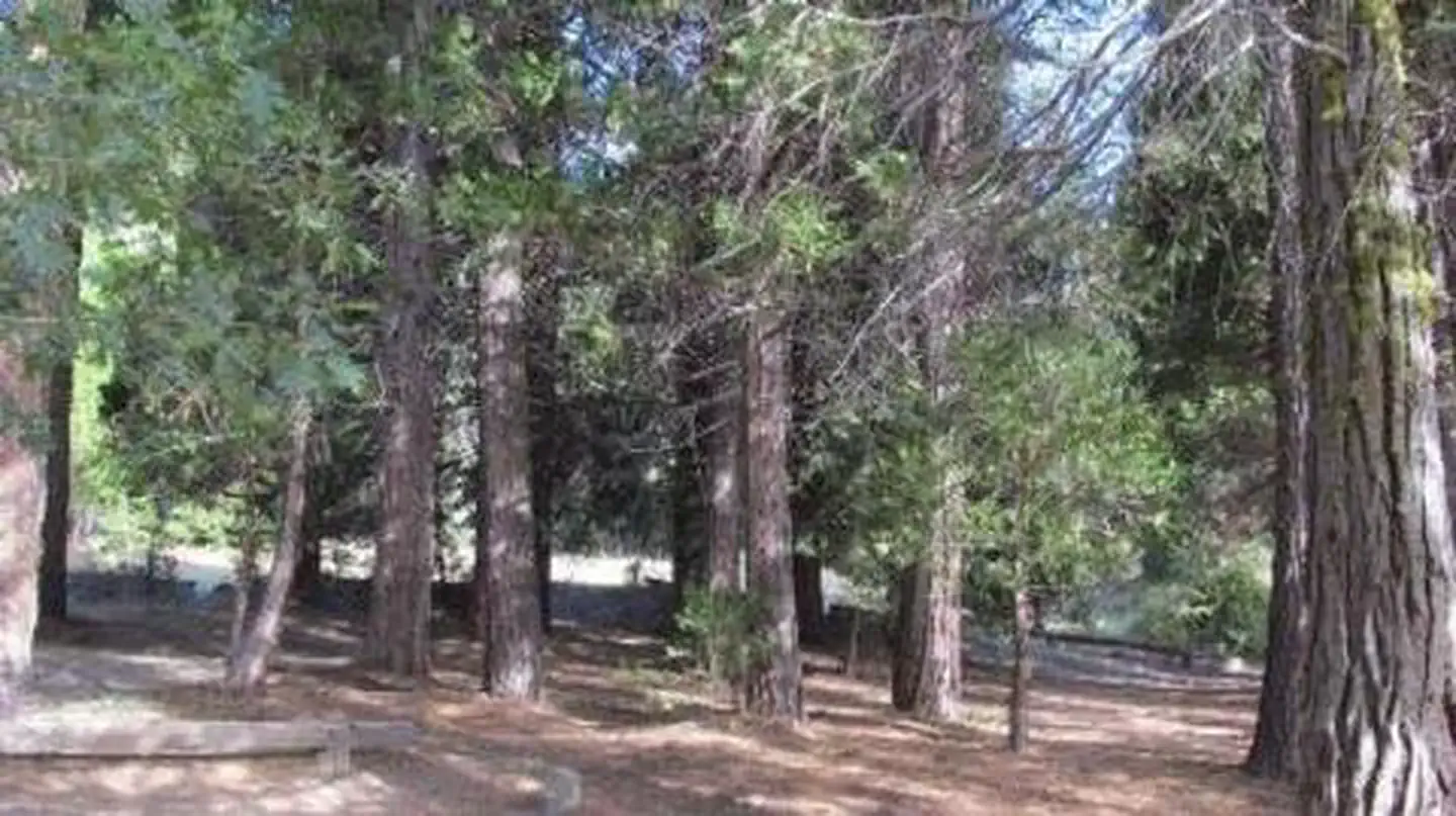 Long Meadow Group Campground — LONG MEADOW GROUP