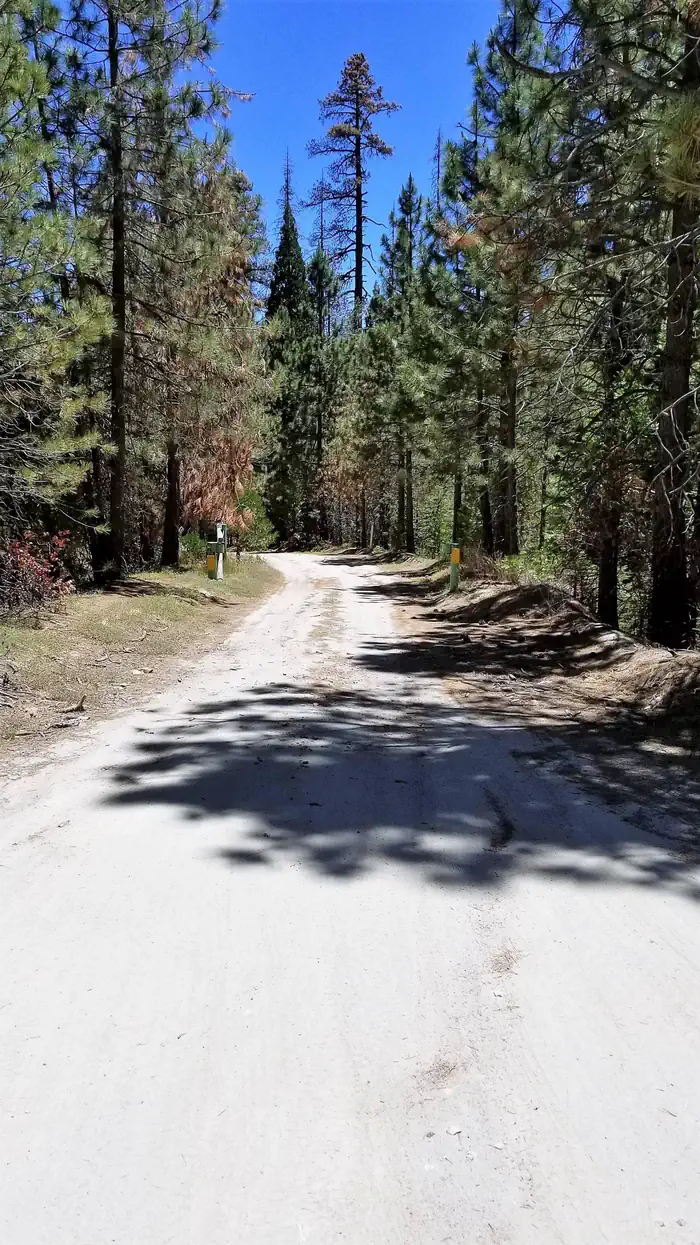 Long Meadow Group Campground — Long Meadow Group