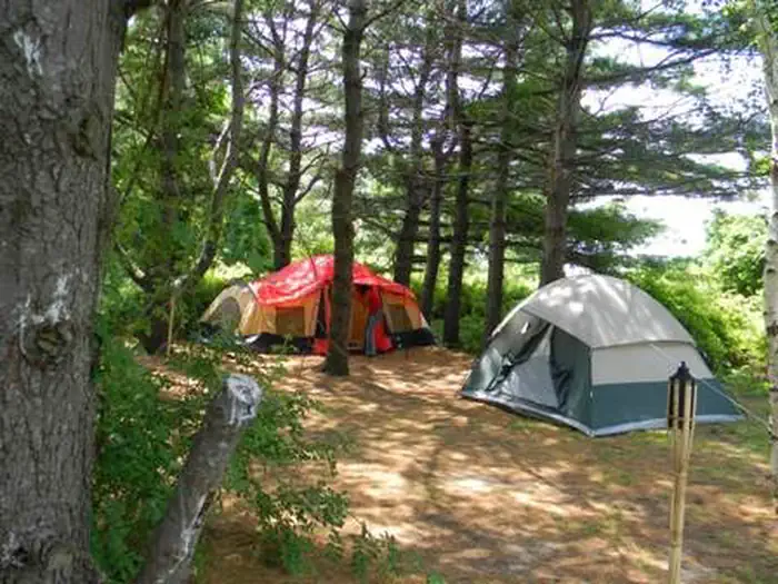 CAMP GATEWAY- BROOKLYN NY — A red and yellow a blue and white tent pitched near each other under trees