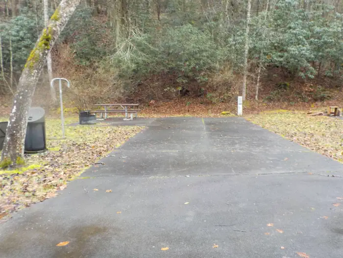 LOWER TWIN CAMPGROUND (VA) — Camp Site #2