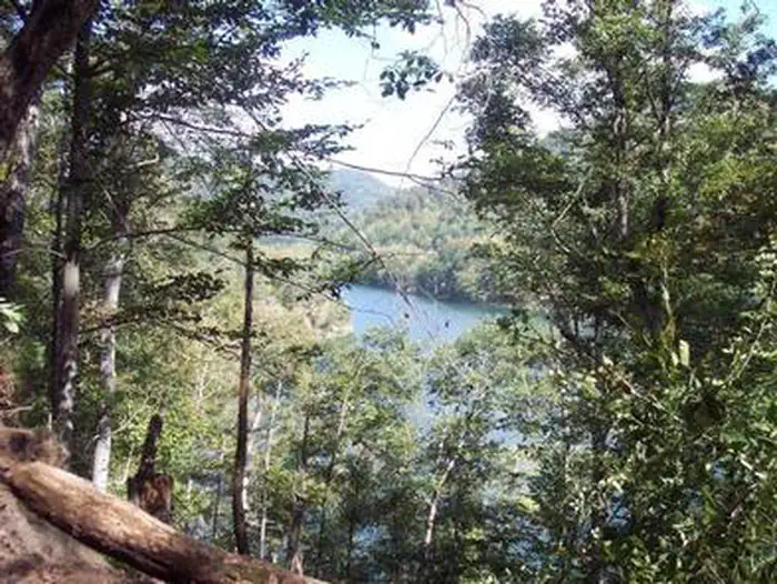 Carr Creek Lake Shelters — CARR CREEK LAKE SHELTERS