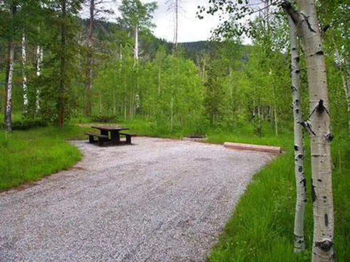 LODGEPOLE AT FLAMING GORGE — LODGEPOLE AT FLAMING GORGE