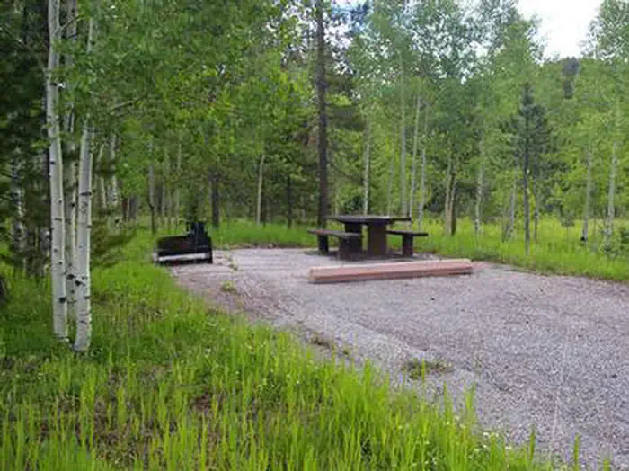 LODGEPOLE AT FLAMING GORGE — LODGEPOLE AT FLAMING GORGE