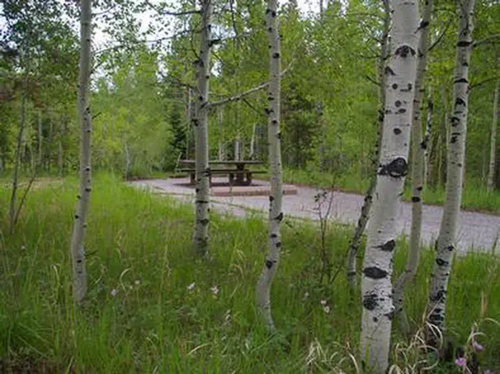 LODGEPOLE AT FLAMING GORGE — LODGEPOLE AT FLAMING GORGE