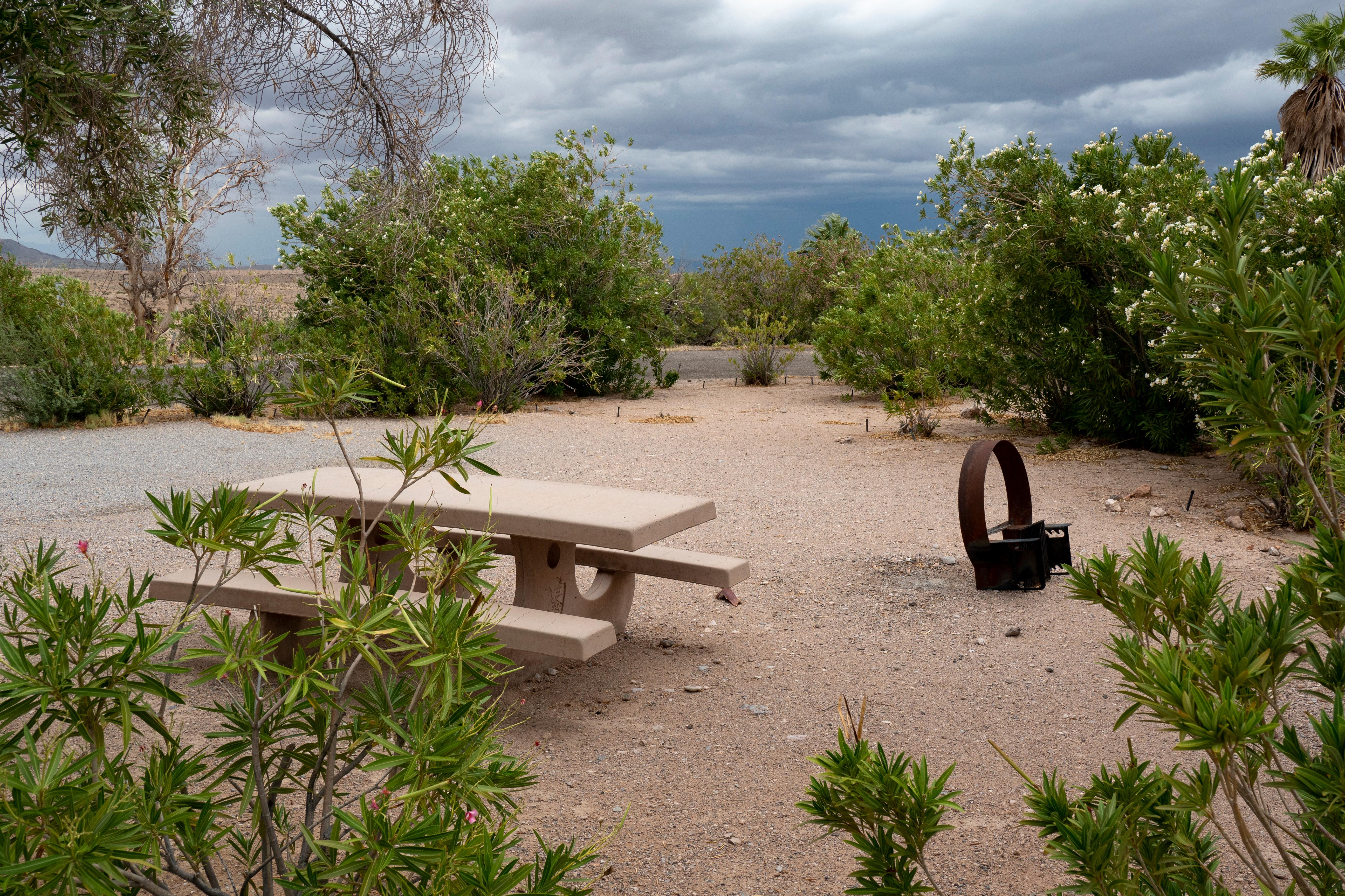 Echo Bay RV Park