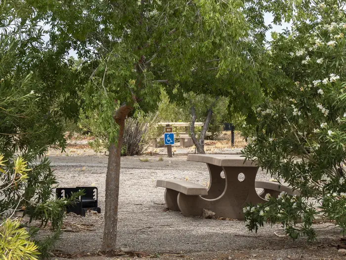 Echo Bay Campground — EBCG0005