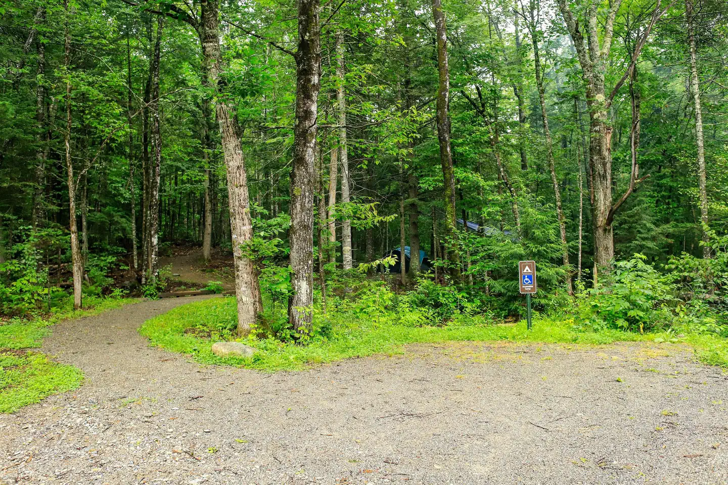 Katahdin Woods & Waters National Monument Camping — A gravel parking lot in front of a green and shaded campground. An ADA parking space is in front of the campground.