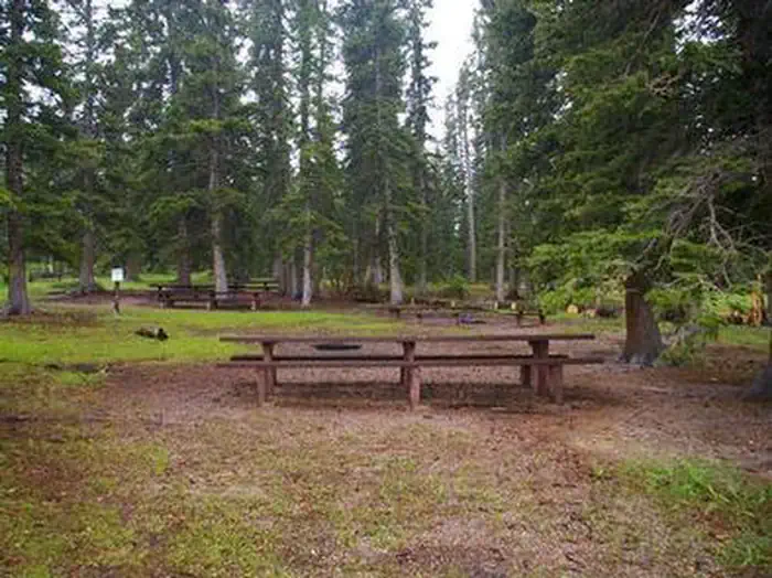 IRON SPRINGS GROUP ASHLEY — IRON SPRINGS GROUP ASHLEY
