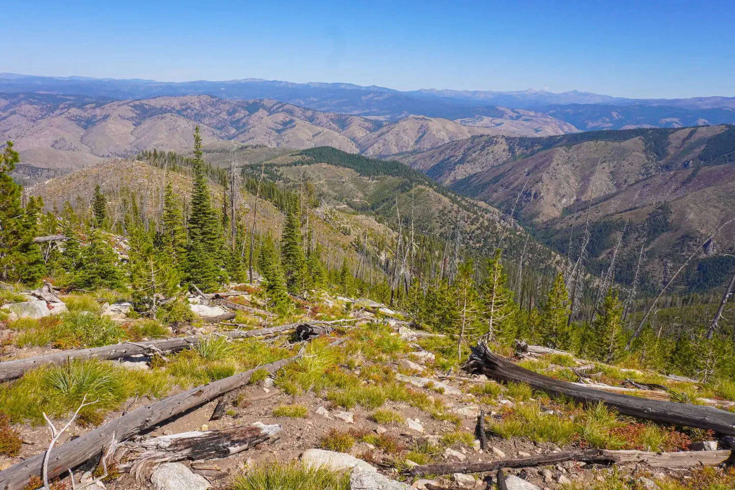 Medicine Point Lookout — View from the trail