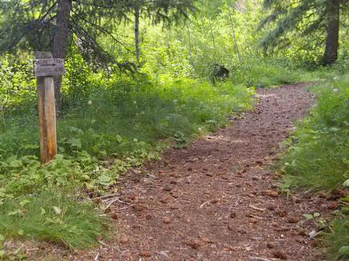 WOOD RIVER GROUP OVERNIGHT AREA (TENT ONLY) — WOOD RIVER GROUP OVERNIGHT AREA (TENT ONLY)