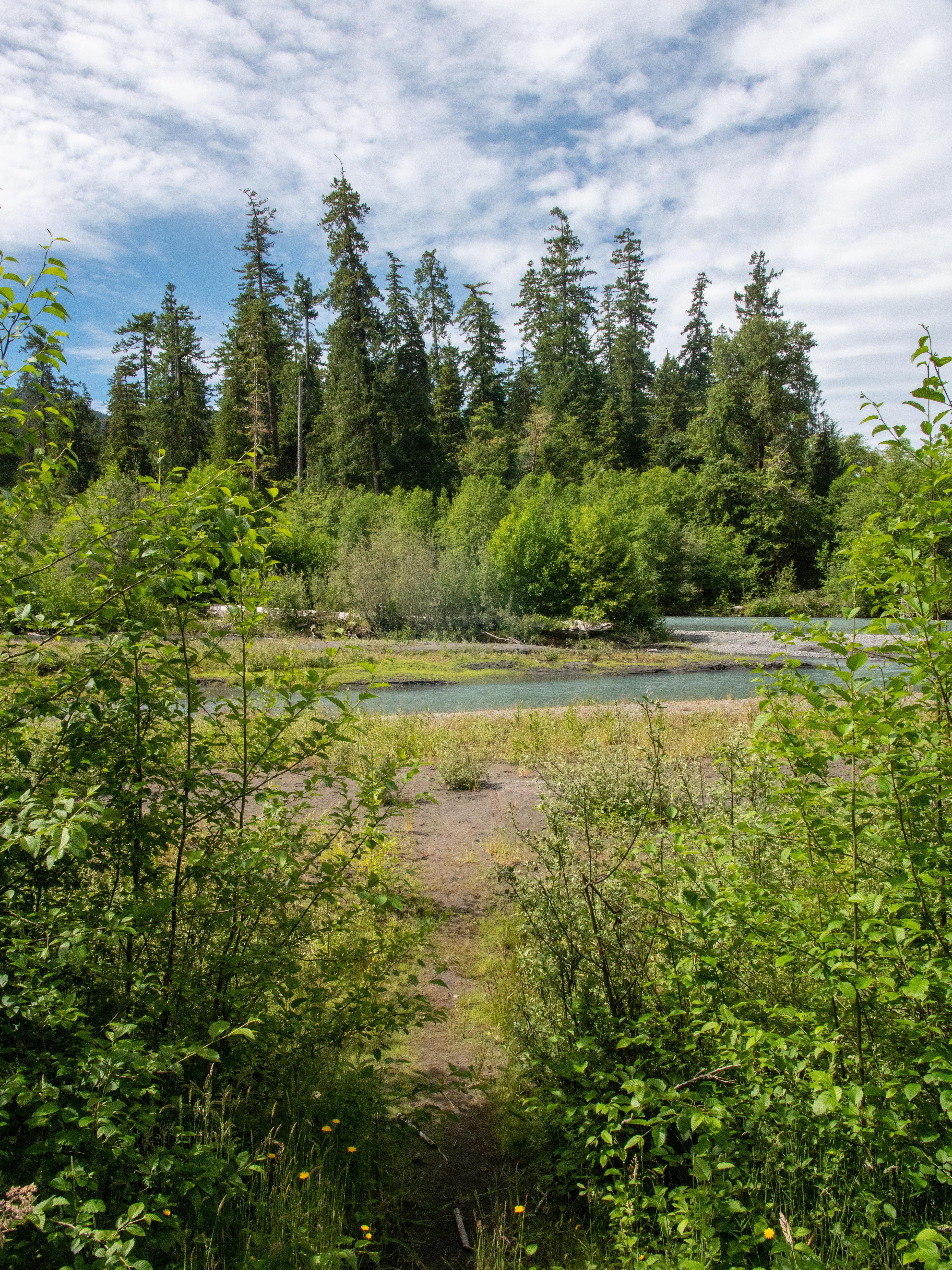 Hoh Rainforest Campground — Hoh Campground 03