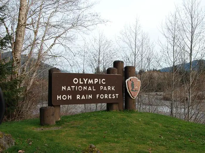 Hoh Rainforest Campground — A large brown National Park sign that reads "OLYMPIC NATIONAL PARK - HOH RAINFOREST." The Hoh River can be seen flowing past in the background.