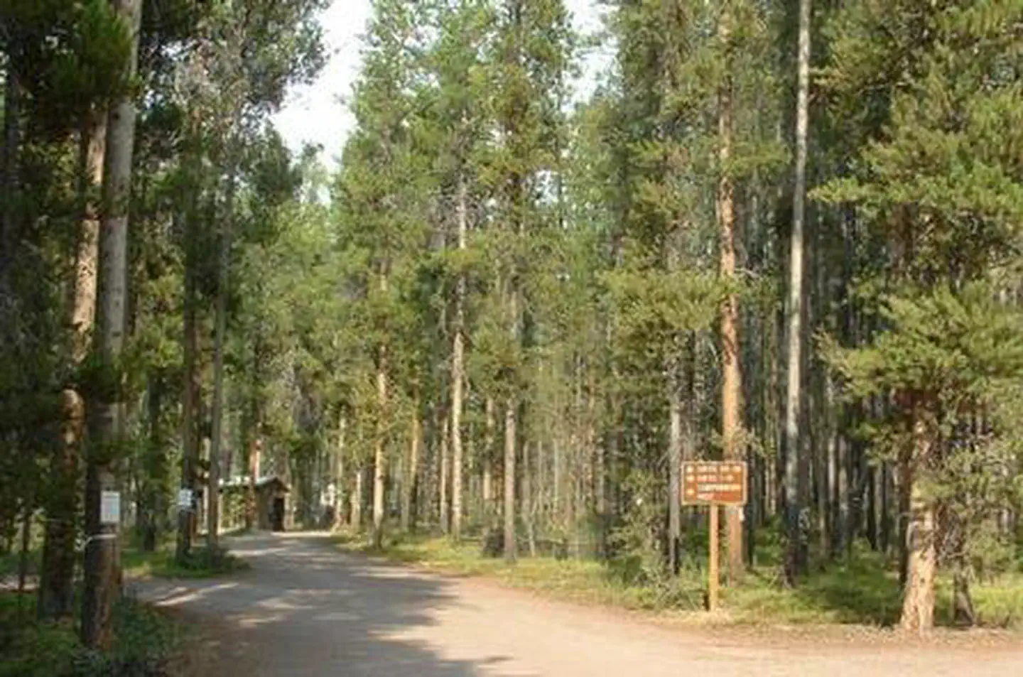 Lodgepole Campground (on Georgetown Lake, Montana) — LODGEPOLE CAMPGROUND