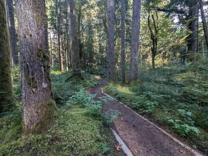 Middle Fork Campground — TRAIL
