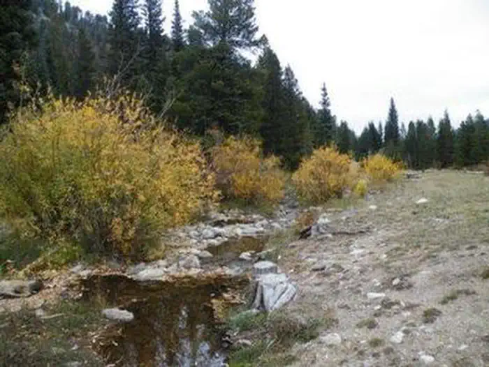 Camp Dick — CAMP DICK Creek