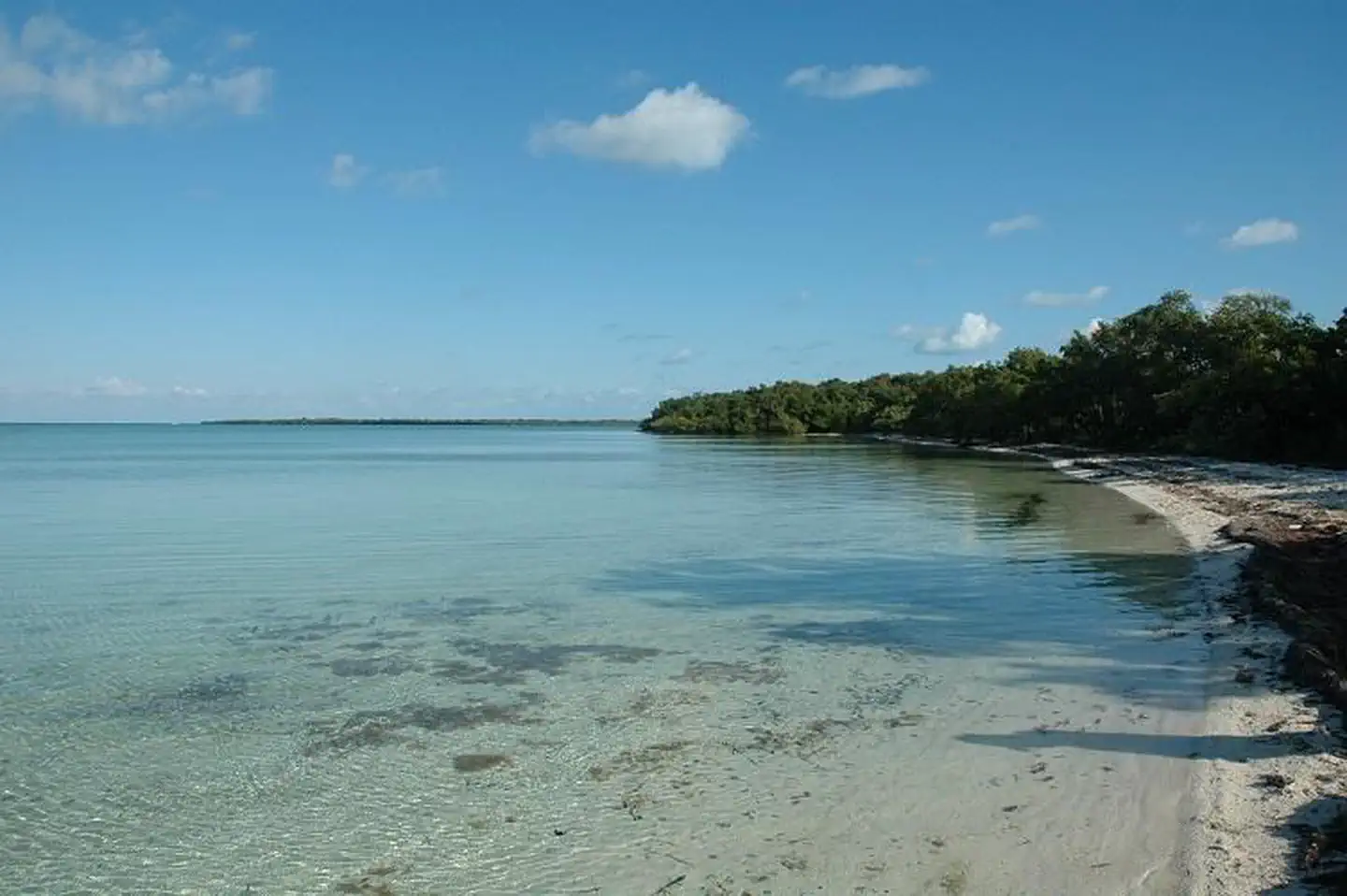 Elliot Key Campground — Elliott Key