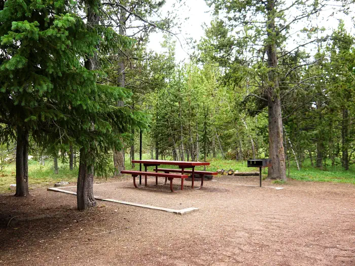PORCUPINE CAMPGROUND (WY) — Campsite in wooded area