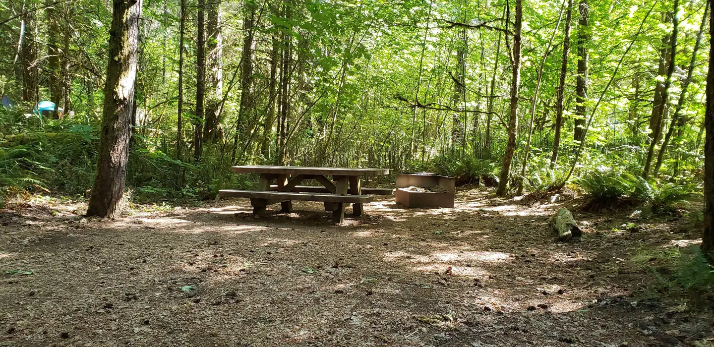 Horseshoe Bend Campground (or) — Secluded picnic Table and fire ring next to a sun dappled thicket.