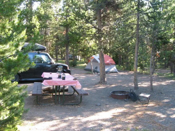 Indian Creek Campground (Yellowstone) — Indian Creek Campsite with picnic table, fire ring, vehicle, and tent.