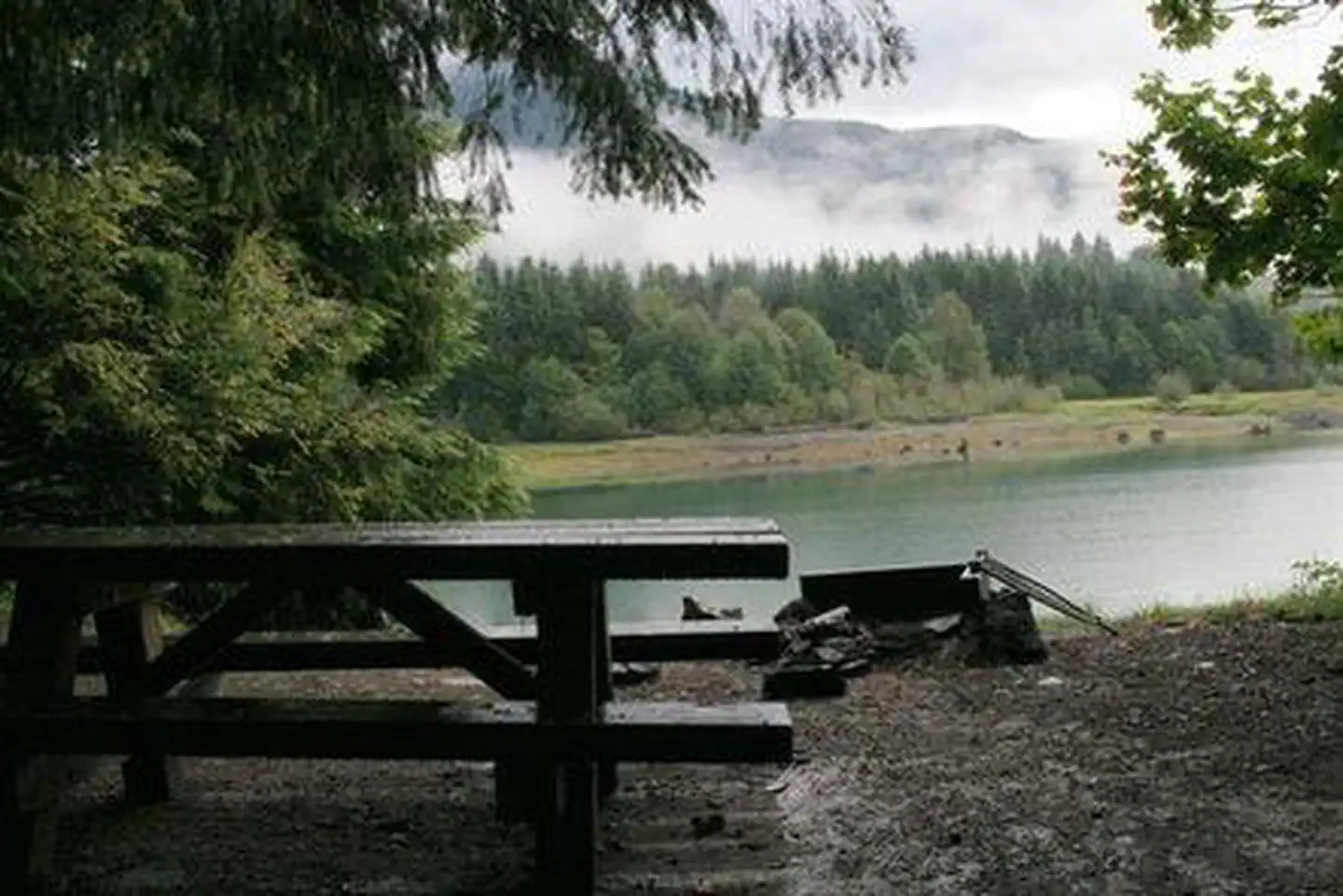 Panorama Point Campground — Panorama Point Campground