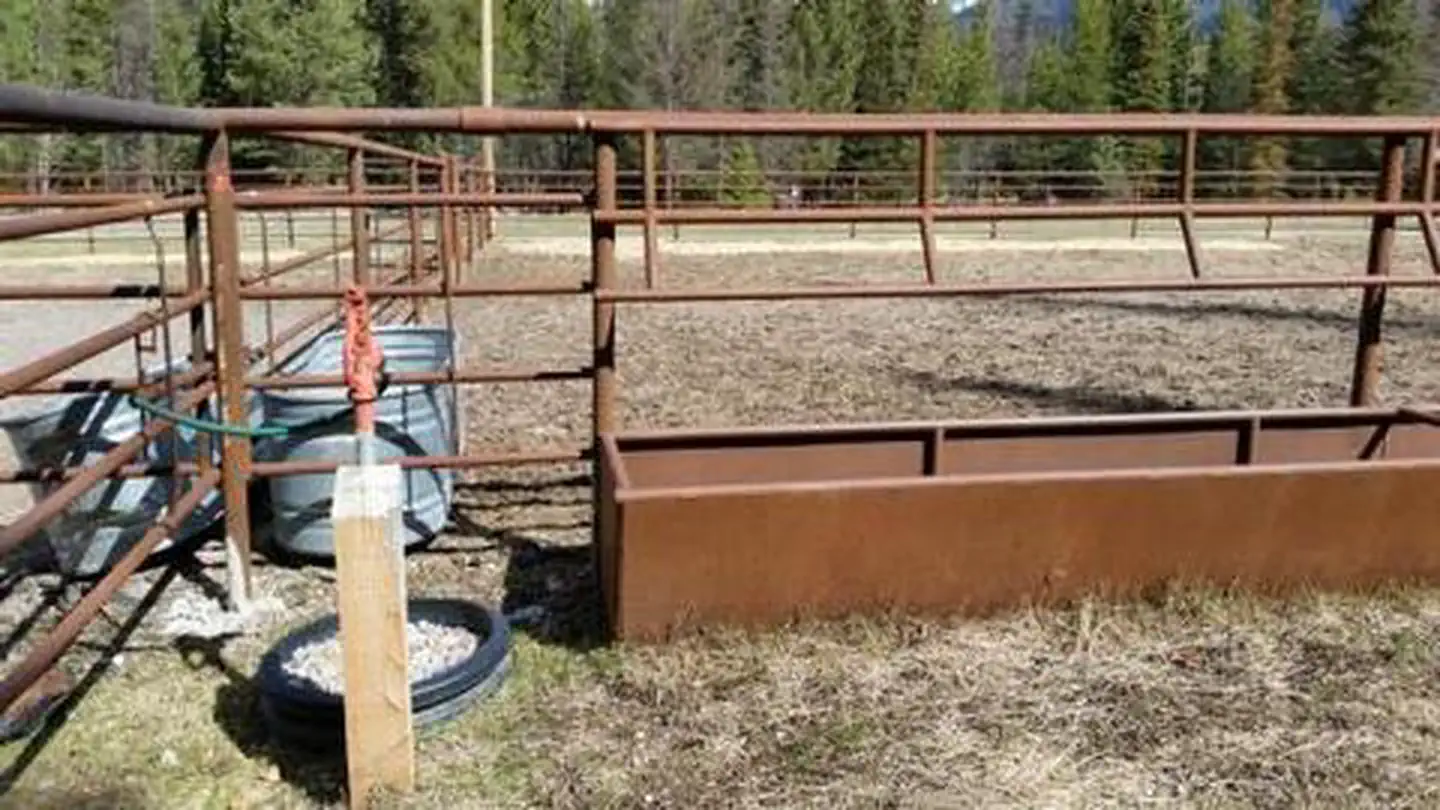 OWL CREEK CORRAL — OWL CREEK CORRAL