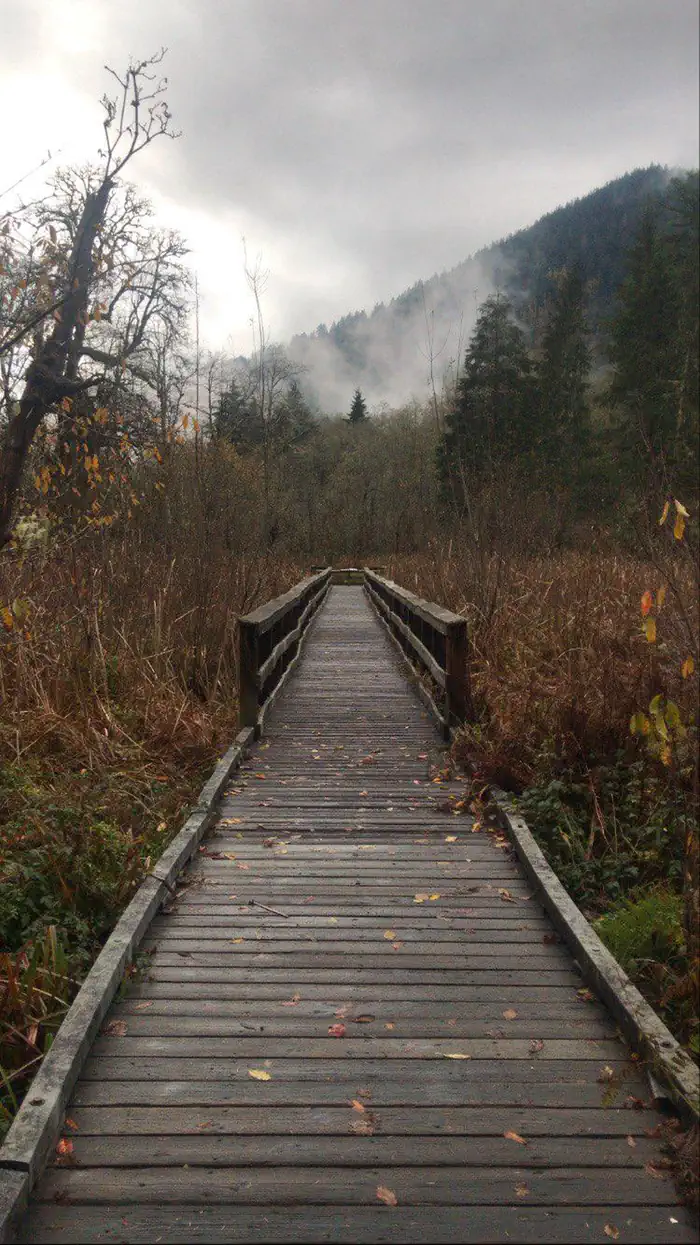 WILDWOOD RECREATION SITE — Boardwalk on Wetlands Trail