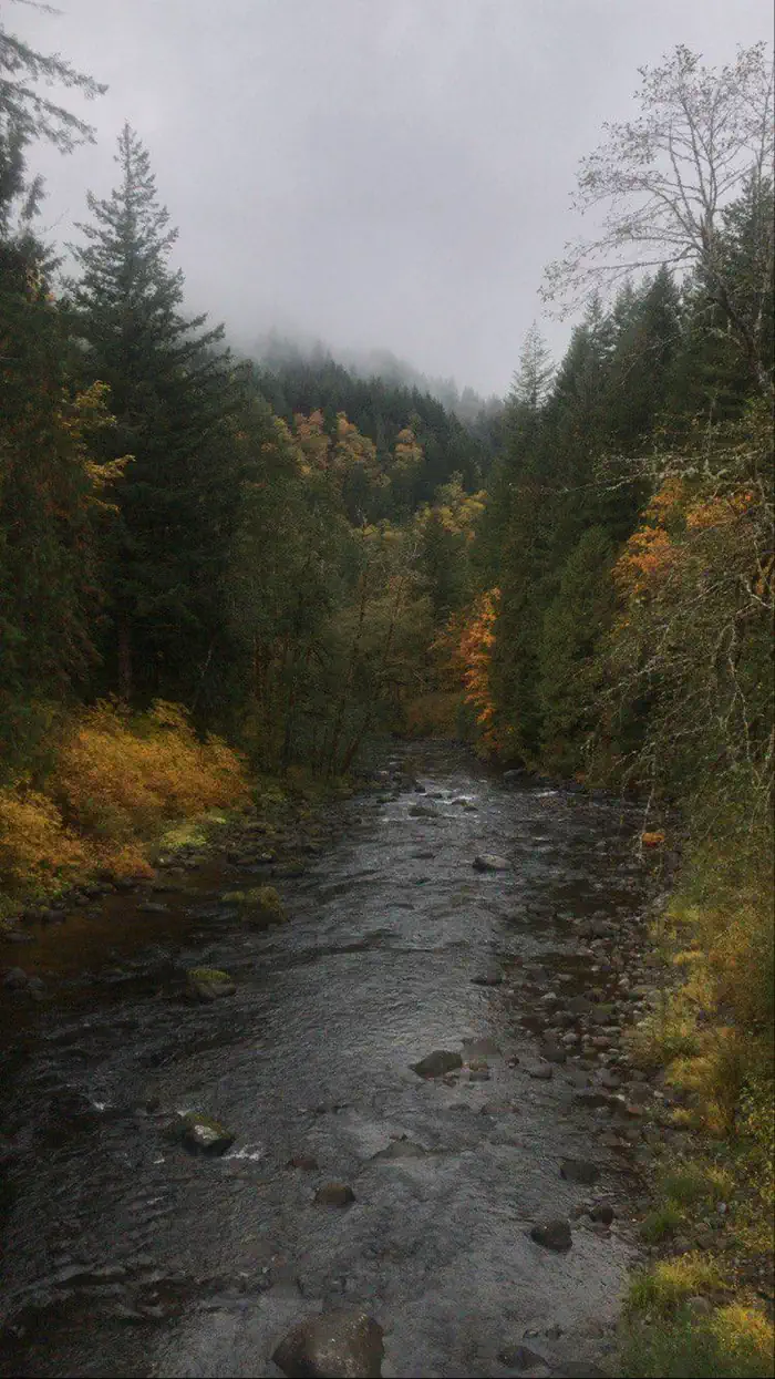 WILDWOOD RECREATION SITE — Salmon River