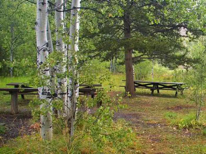 ALLRED FLATS GROUP PICNIC SITE — ALLRED FLATS GROUP PICNIC SITE