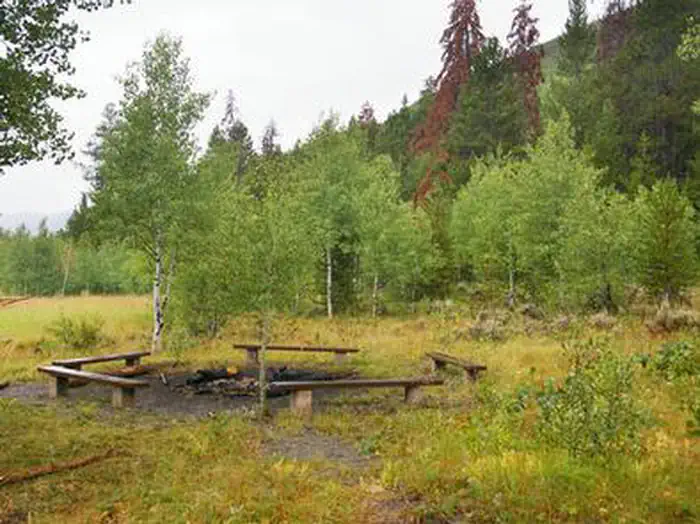 ALLRED FLATS GROUP PICNIC SITE — ALLRED FLATS GROUP PICNIC SITE2