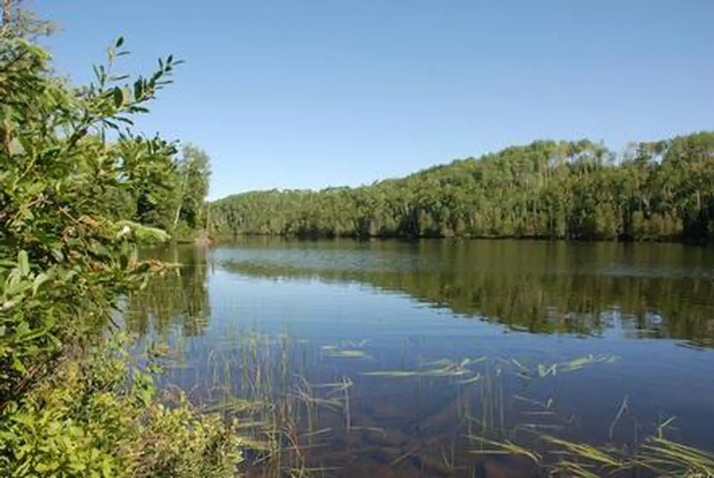 East Bearskin Lake Campground — EAST BEARSKIN LAKE CAMPGROUND
