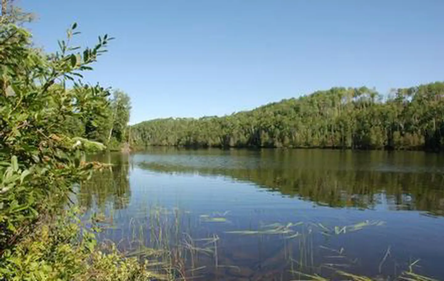 East Bearskin Lake Campground — EAST BEARSKIN LAKE CAMPGROUND