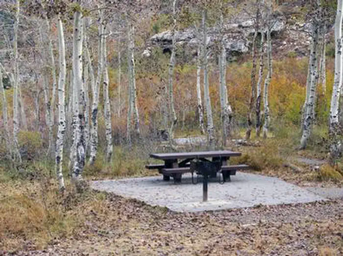 TERRACES CAMPGROUND - PICNIC AREA — TERRACES CAMPGROUND - PICNIC AREA
