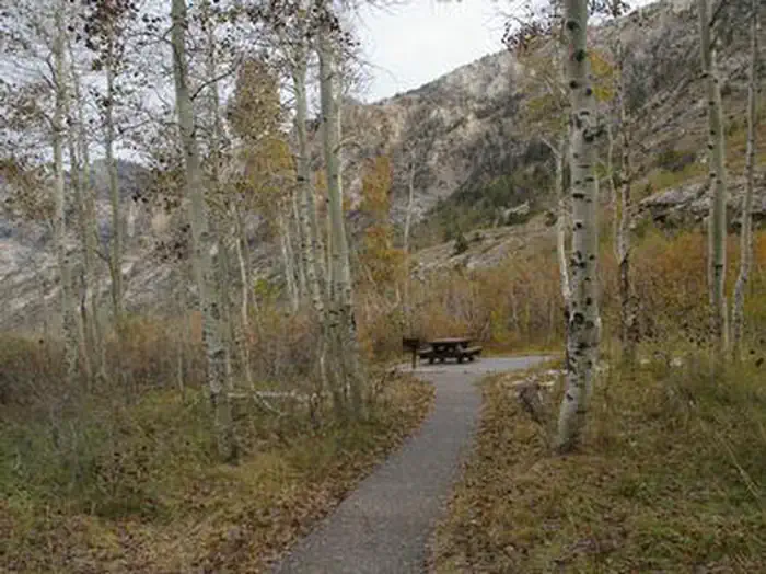 TERRACES CAMPGROUND - PICNIC AREA — TERRACES CAMPGROUND - PICNIC AREA