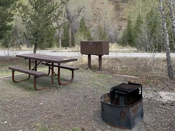Wapiti Campground — Wapiti Campsite 13, picnic table, fire ring, trees
