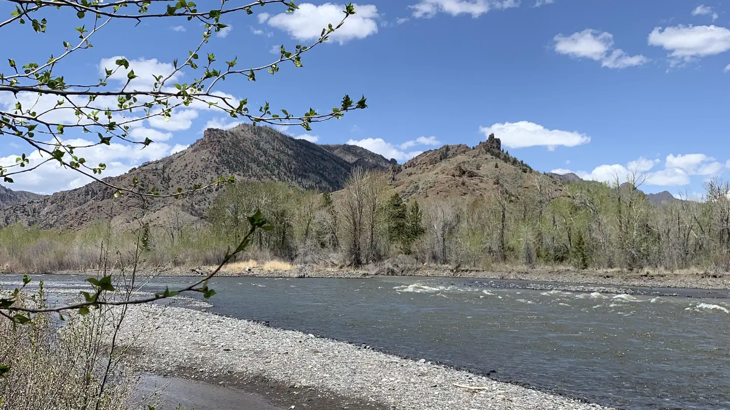 Wapiti Campground