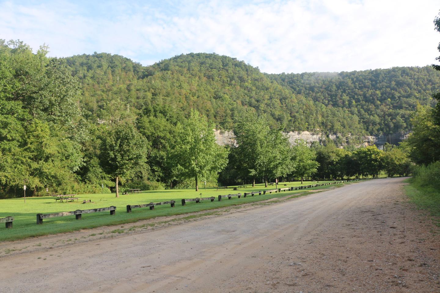 Steel Creek Campground — A dirt road can be seen on the right side of the photo with green grass and campsites on the left side.