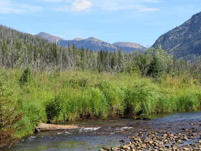 Rocky Mountain National Park Timber Creek Campground — A View of Timber Creek with Mountains in the Background