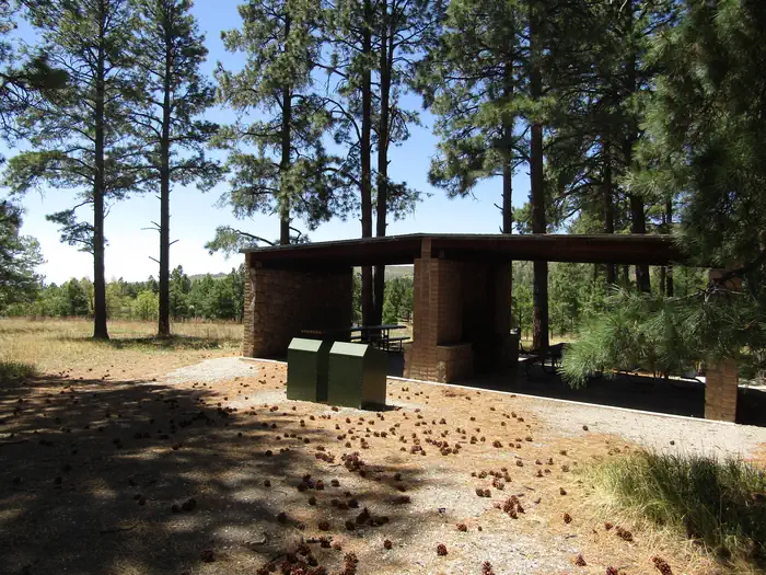 Ponderosa Group Campground (NM) — Covered shelters sit surrounded by tall pines