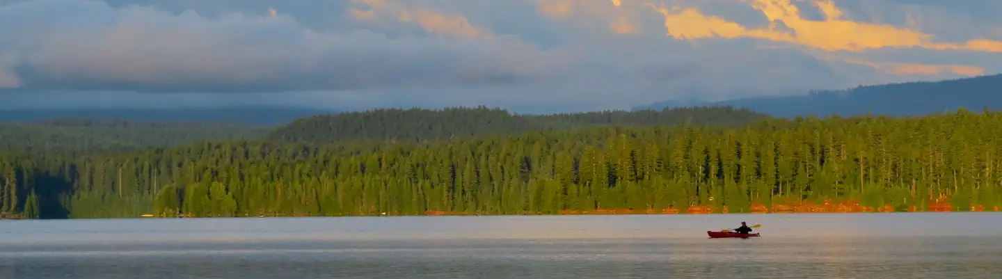Oak Fork
