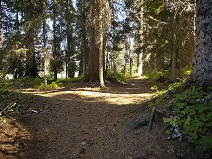 Trapper Creek Campground — Trapper Creek Campground